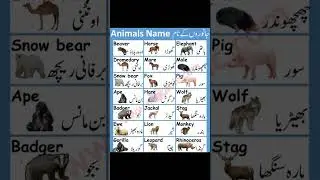 Animals Name in english and urdu #shorts #viral