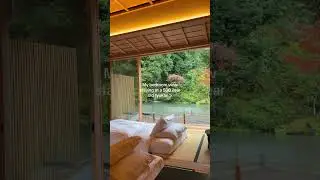 pov: staying in a 500 year old ryokan ♨️ #japan #tokyo