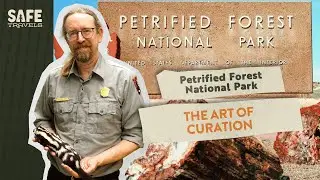 Petrified Forest National Park: The Art & Science of Museum Curation