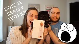 Testing out the Pore Vacuum with Tyler! Does it work?