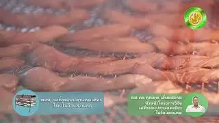เครื่องอบปลาแดดเดียวโดยไม่ง้อแสงแดด