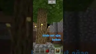 #keşfetbeni&ouml;ne&ccedil;ıkar #youtube #keşfet #minecrafthile #minecraft #minecraft