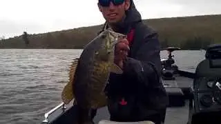 Spybaiting Crazy Smallmouth