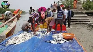 Frazergunj | Frazergunj Harbour Fish Auction Center | Sea Beach | Tour Lover | Travel India |
