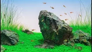 [4K UHD] ADA 60-P Manten Stone Iwagumi Layout