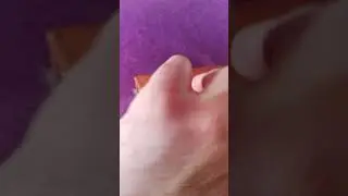 Vintage shaving kit Czecoslovakia