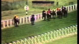 1977 Joe Coral Eclipse Stakes
