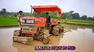 Mahindra yuvo tech plus  585 di old model #viralvideo #tractorvideo #farming #agriculture 