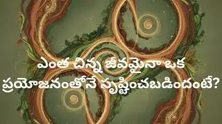 కథ 004 జీవుల సృష్టి మరియు సమతుల్యత|బ్రహ్మ పురాణ కథలు