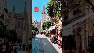 📍SEVILLE, Spain💃 The City you Must See Before you Die ☠️ Walk in Andalusia's Capital #travel #spain