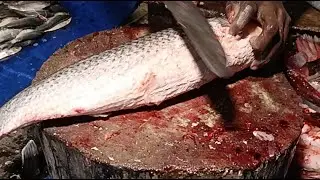 USA Fish cutting skills