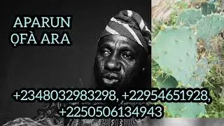 APORO APARUN ARA TODAJU, +2348032983298, +22954651928, +2250506134943