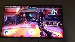 Cute spray quest