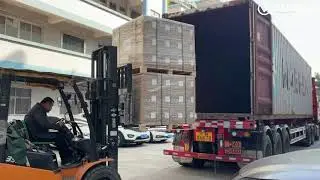 Inside the Loading of a 40GP Container: Professional Lithium Battery DG Cargo Handling