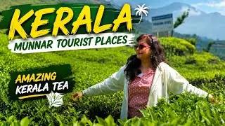 Tea Making, Tea Shopping & Famous Podi Dosa 😍 | Munnar Day 3 Part 2