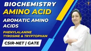 Aromatic Amino Acids | Phenylalanine | Tyrosine  | Tryptophan |