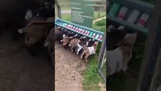 #shorts #farming #AmazingGreat Creative Ideas Of Farmers