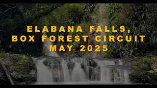Elabana Falls, Box Forest Circuit - May 2025 - Lamington National Park, QLD