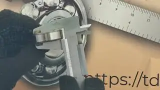 6302 2Z SKF TDPS66 RU