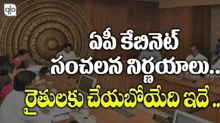 AP Cabinet Sensational Decision On Amaravathi Formers | AP 3 Capital Issue | ALO TV