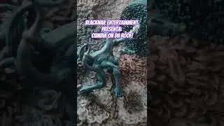 Thousand Sons, Blue Horrors, and Fixings DA Broken onez!!!