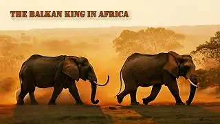 The Balkan King in Africa | Ultimate Afro-Ethno Anthem (NCM) - Jubilee #350