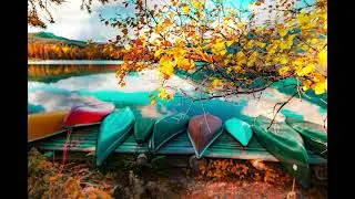Relaxing Lofi 🌿 Nature Sounds & Chill Beats
