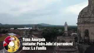 La Amargada/  Pedro Julio ( El Parrandero )