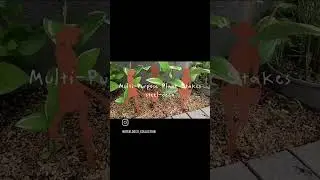 Multi-Purpose Plant Stakes