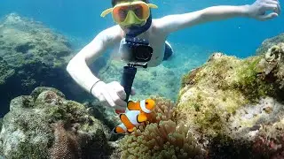 Boat and snorkeling Tour Satahip #travel #fish #seafood #boat #amazing 