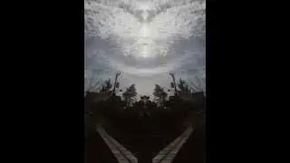 MORE! YAY! Mirrored Images