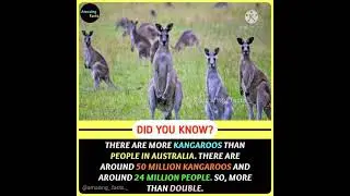 Facts of the World #93