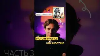 🦓 Как ставить зебры для S-Log3 &mdash; Picture Profile vs Log Shooting? (Часть 3)