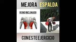 TECNICA del REMO CON BARRA para ESPALDA