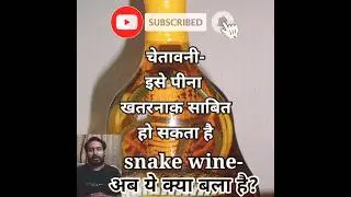Snake Wine - अब ये क्या बला है? #snakewine #snake #fact #facts #factsinhindi @HistorywithAmitesh