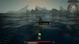 Swimmin Coldtail
