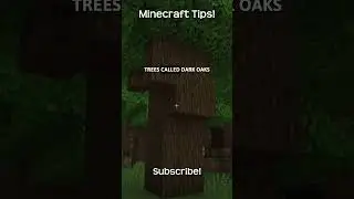 How To Grow A Dark Oak Tree In Minecraft!