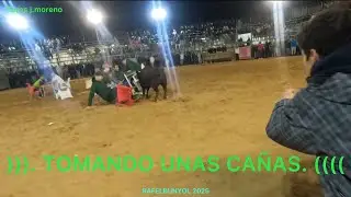 =/= RAFELBUNYOL. UNA FIESTA TOTAL =-=