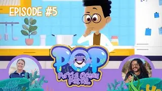 Porci's Ocean Patrol - Episode #5 (Series One) Hooded Plovers | Aboriginal Words | Food Scraps