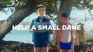 The Danish Cancer Society: Help a Small Dane