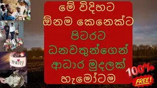 Create A Donation Letter with CHATGPT / Rich People Free Money Fundraising Projects Sinhala
