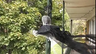 Skeleton On The Wing