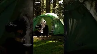 10 Best Camping Sites in India | Best place for Camping | Winter Trip #shorts #camping