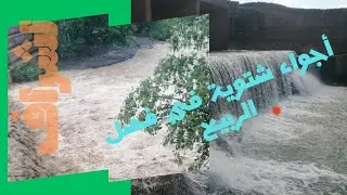 تداخل الفصول. الربيع أصبح شتاء. لشراف وادي القرية.