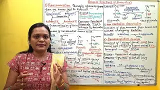 (45) Amino Acid Metabolism & General Reactions | Transamination, Deamination & Decarboxylation