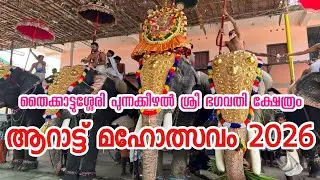 Thycattuserry temple festival 2026