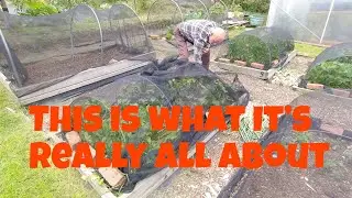 Plot to Plate Welsh Lamb Edition | Allotments For Fun and Food
