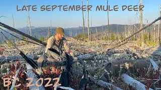 Late September Mule Deer Hunt 2022 Part 2