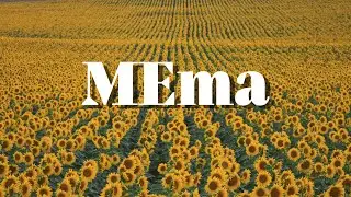 Prince TCHINONA - Méma (vidéo lyrique/ Démo audio)