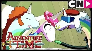Arcoíris De La Dimensión De Cristal | Hora de Aventura LA | Cartoon Network